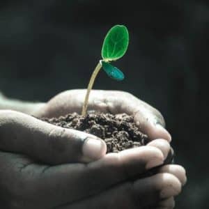 Growing Your Business through PPC