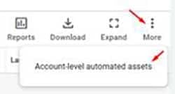 Assets, select More - Account-level automated assets Assets, select More - Account-level automated assets selection in Google ads image
