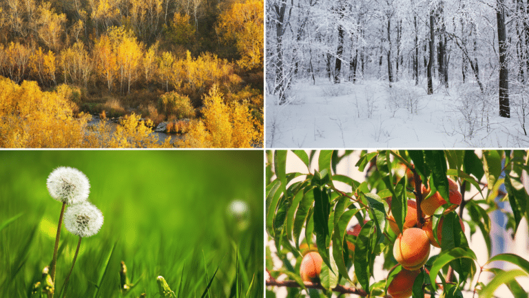 Optimizing PPC Campaigns for Seasonal Peaks: A Smart Guide for Google & Microsoft Ads