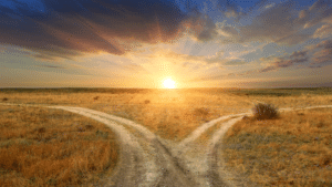 Two dirt paths split through a dry, golden field at sunrise with a bright sun on the horizon.