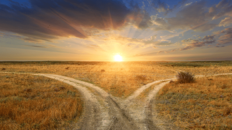 Two dirt paths split through a dry, golden field at sunrise with a bright sun on the horizon.