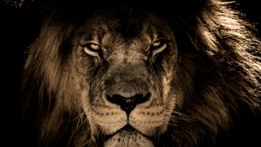 20240308 -- MGoogle’s March Algorithm Updates Will Come in (and Go out) Like a Lion -- Jill
