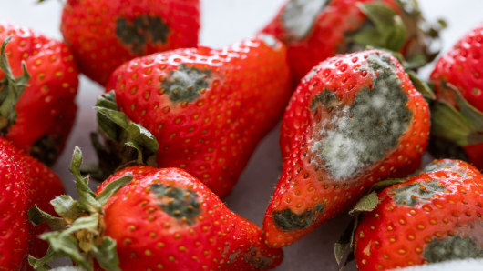 20260324 -- 9 Moldy SEO Metrics to Stop Chasing in 2026 -- Maureen